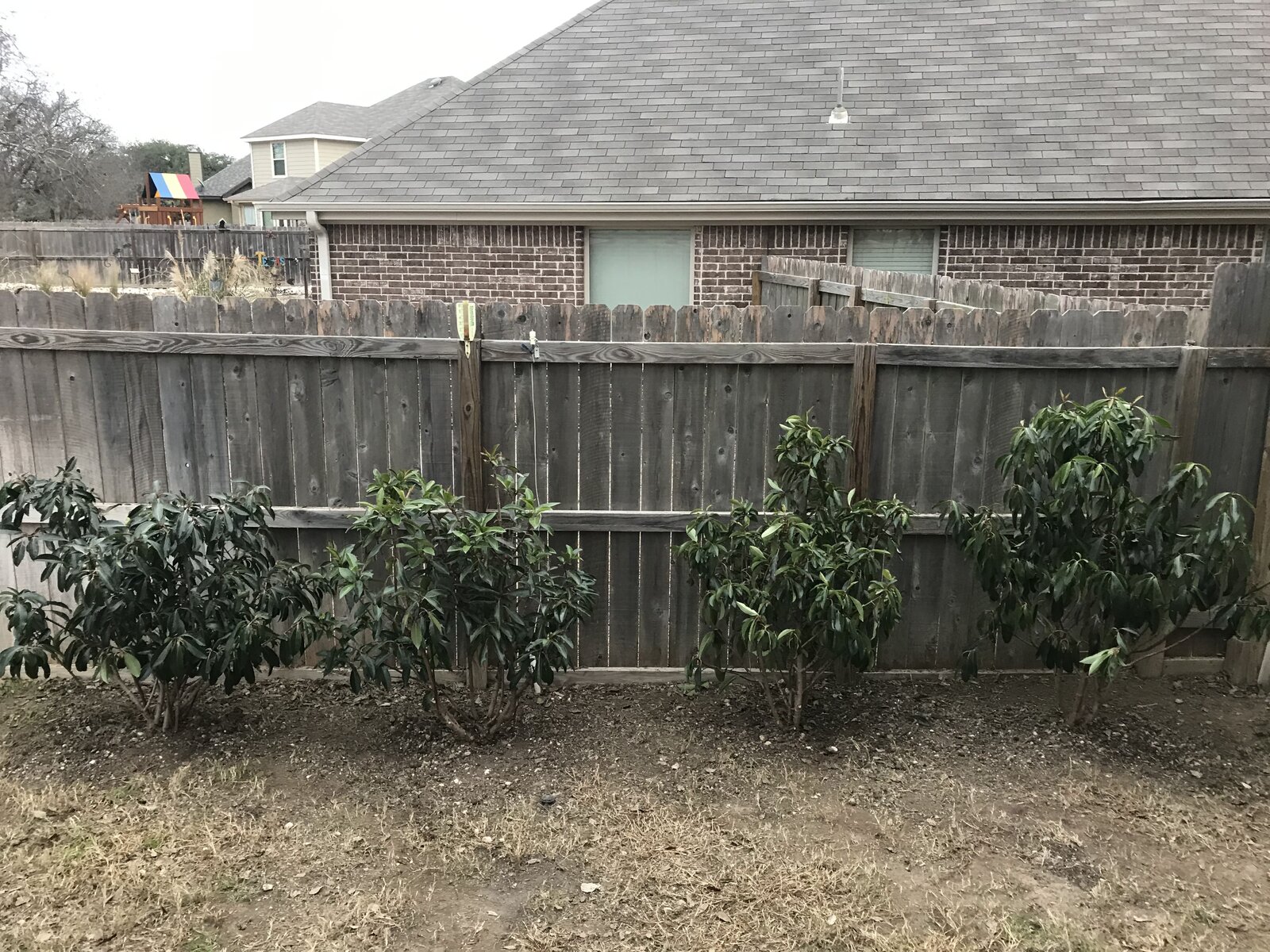 Patio and hardscape work