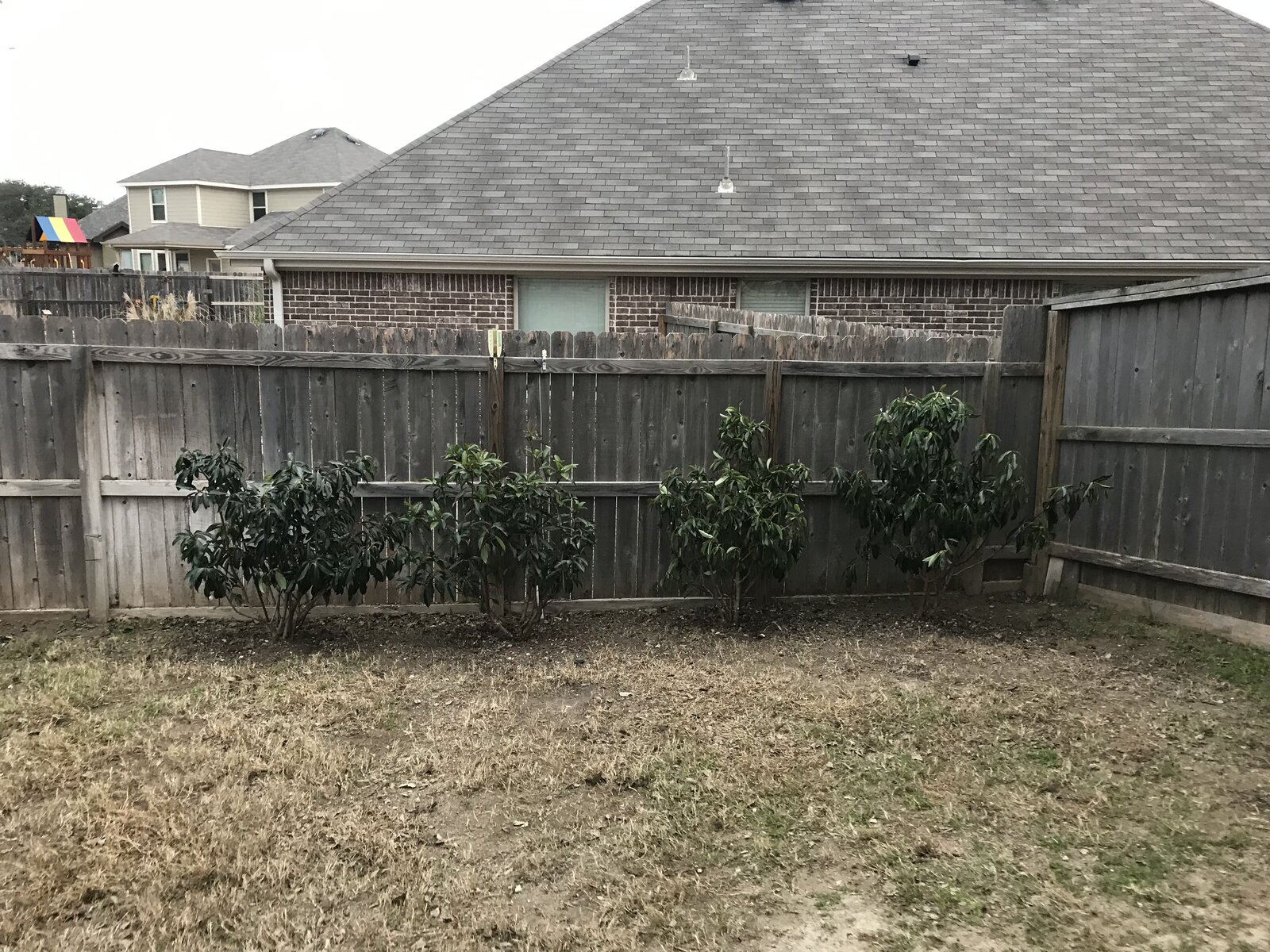 Xeriscape planting bed