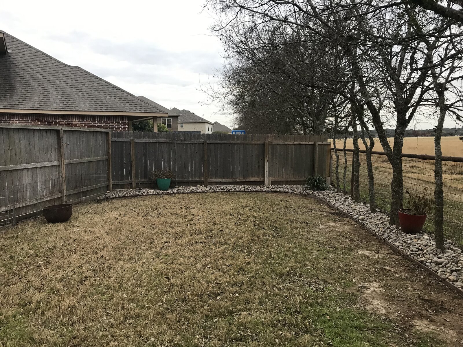 Front yard landscape refresh