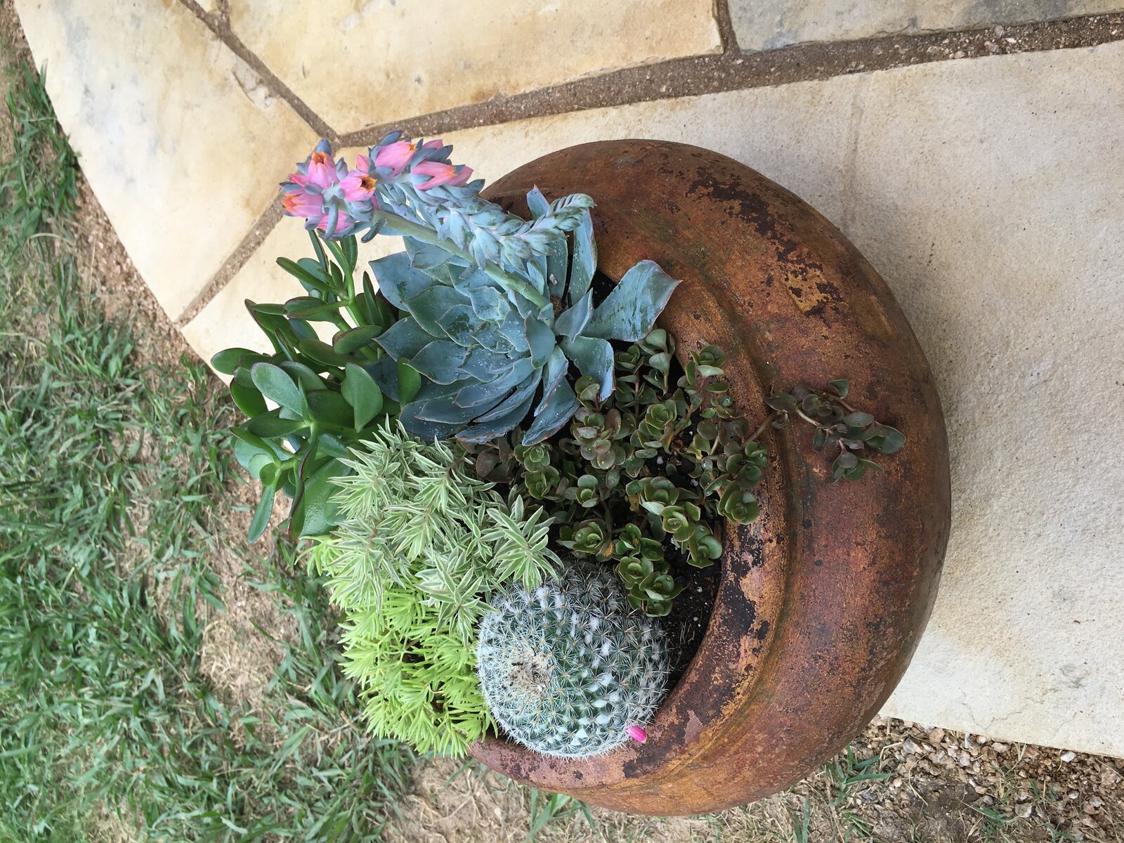 Completed outdoor living space