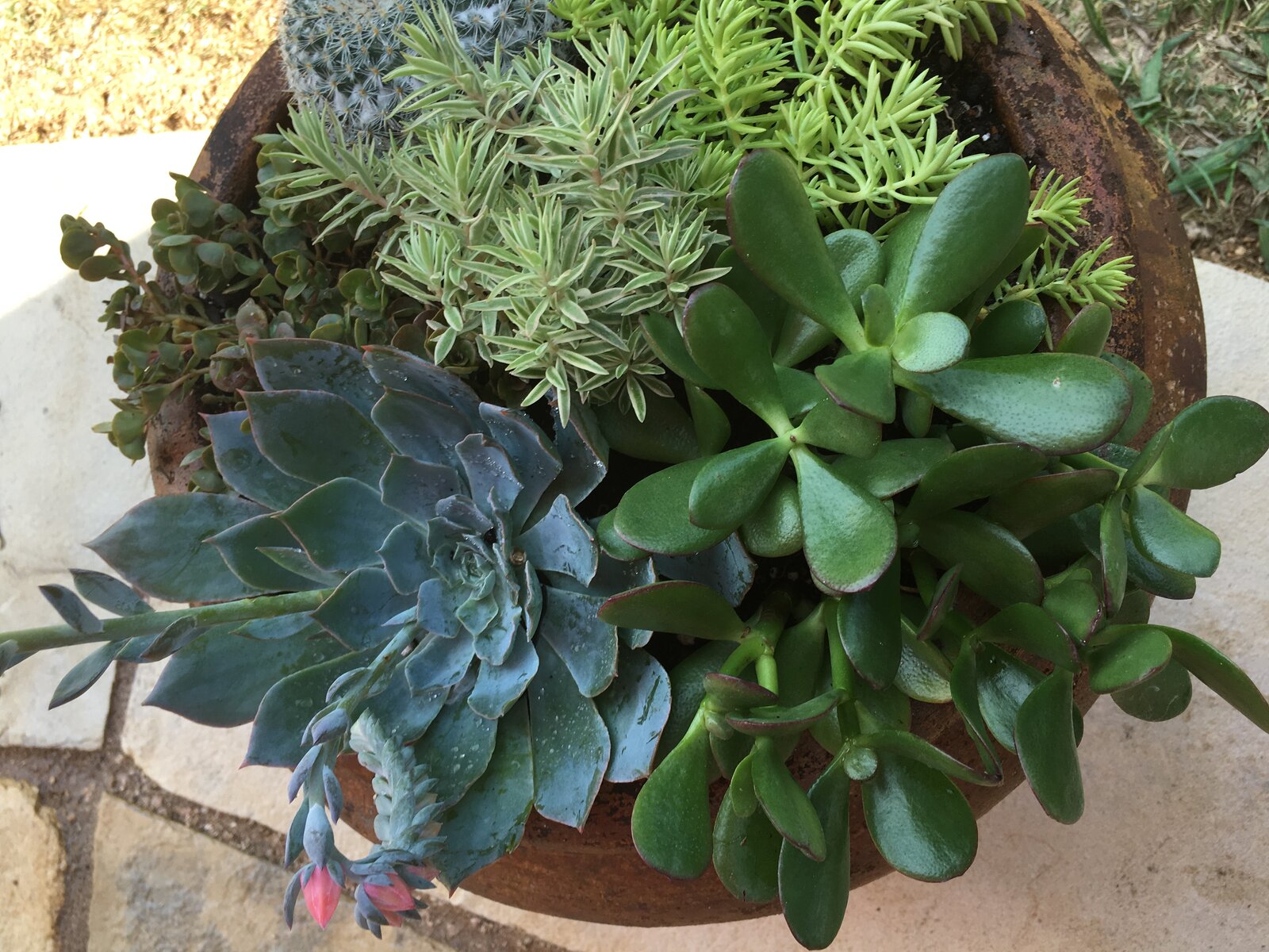 Backyard hardscape detail