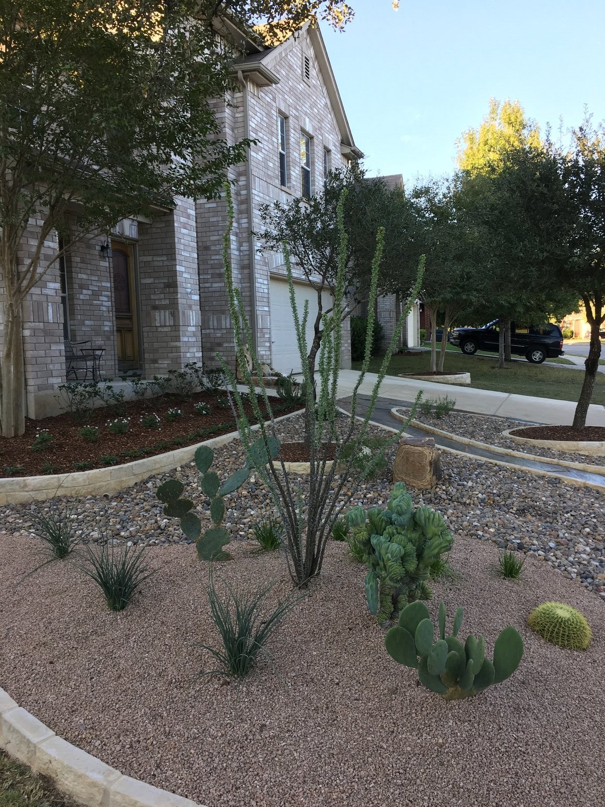Native plantings and mulch