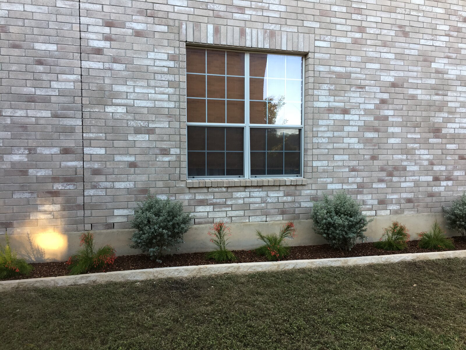 Drought-tolerant garden bed