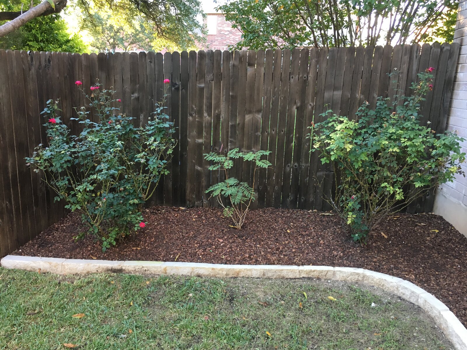 Xeriscape planting bed
