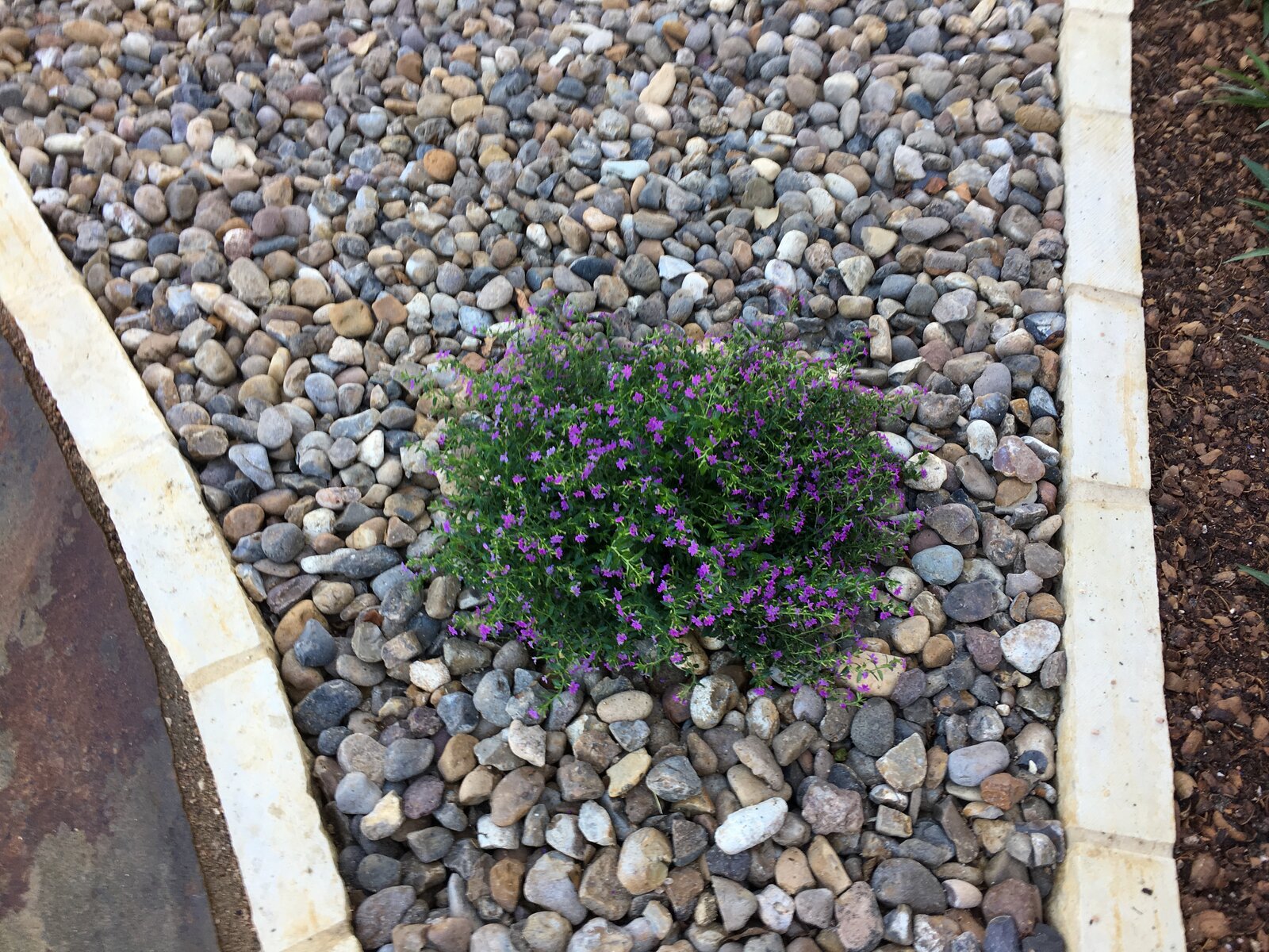 Drought-tolerant garden bed