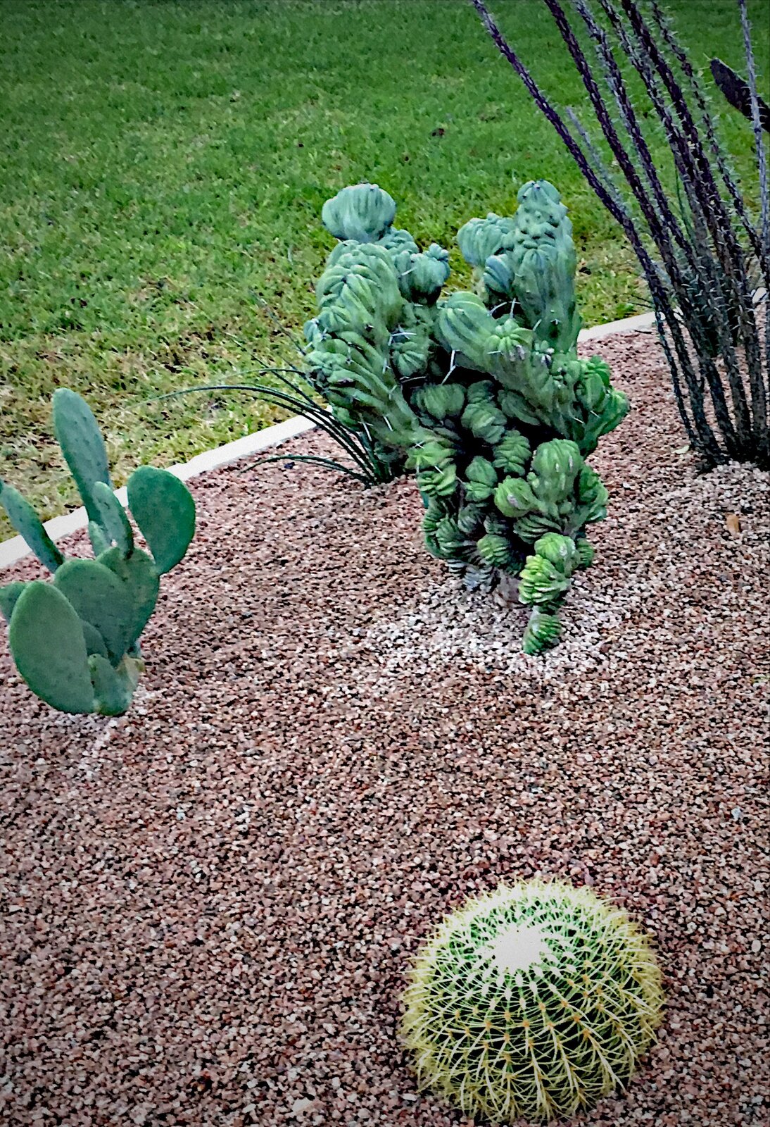 Finished landscape install