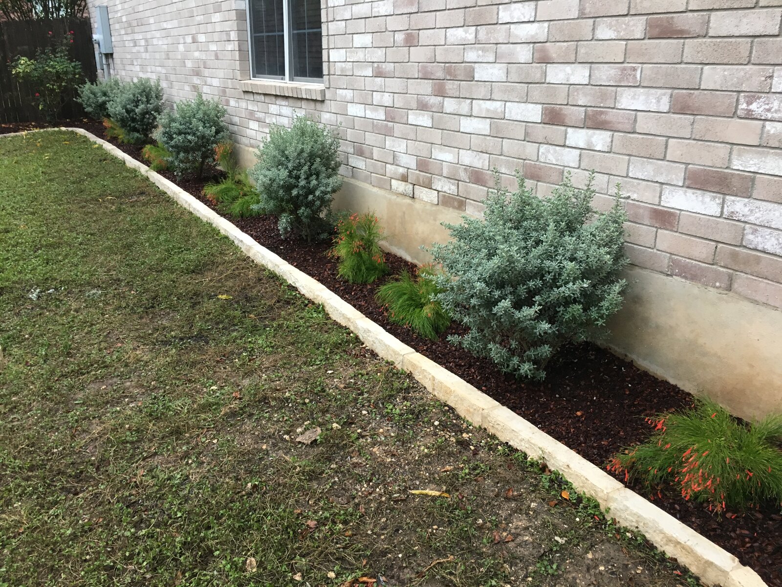 Xeriscape planting bed