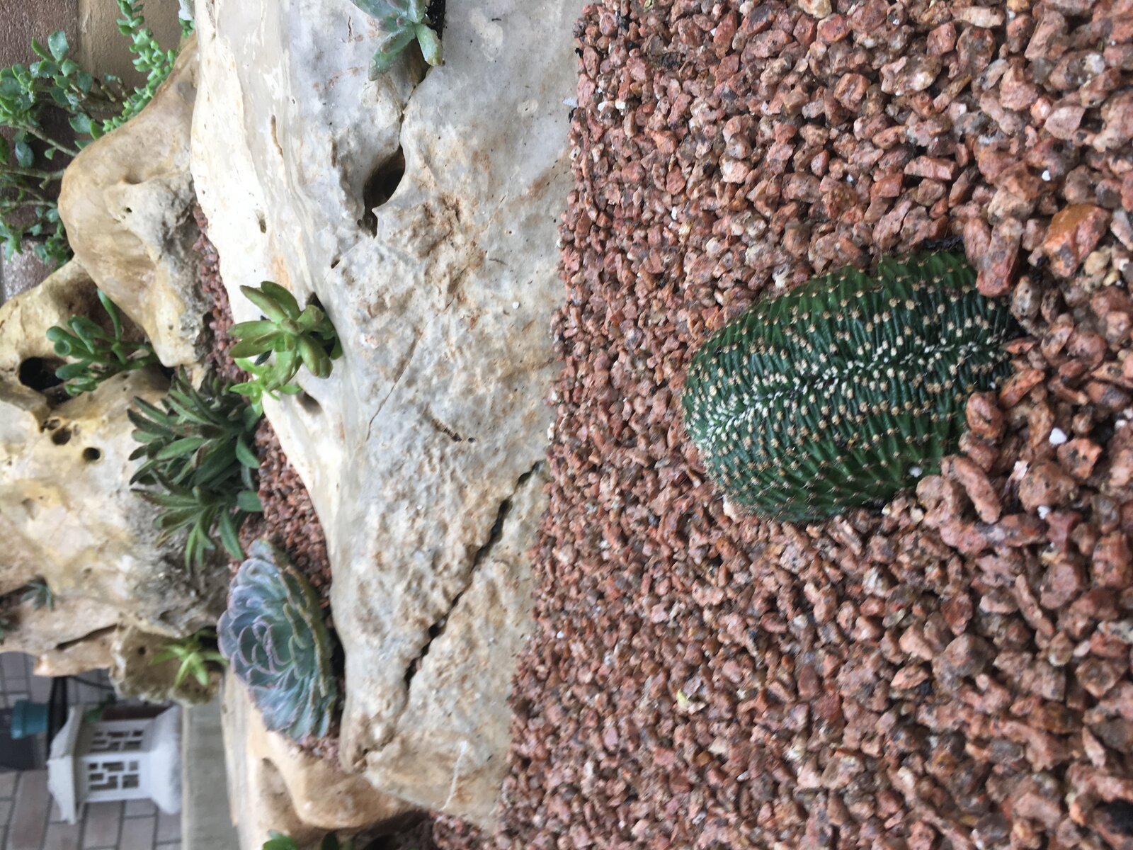 Backyard hardscape detail