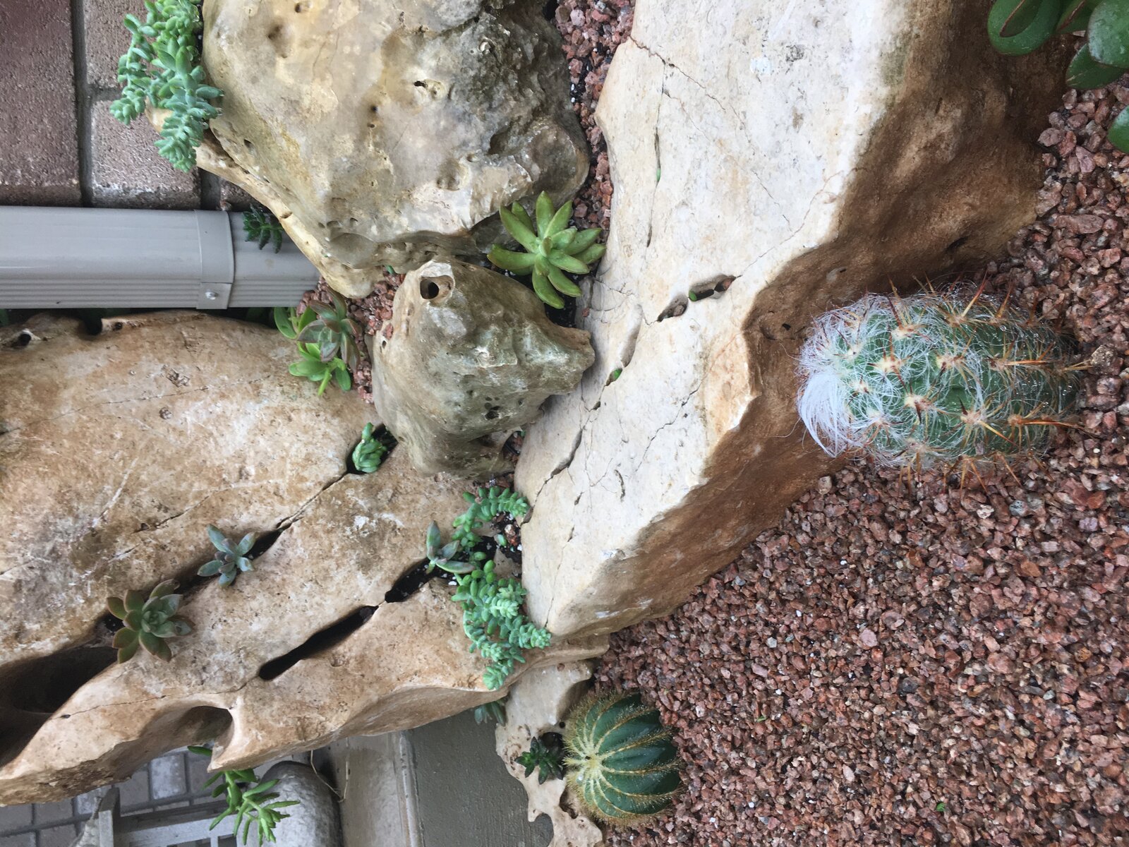 Xeriscape planting bed