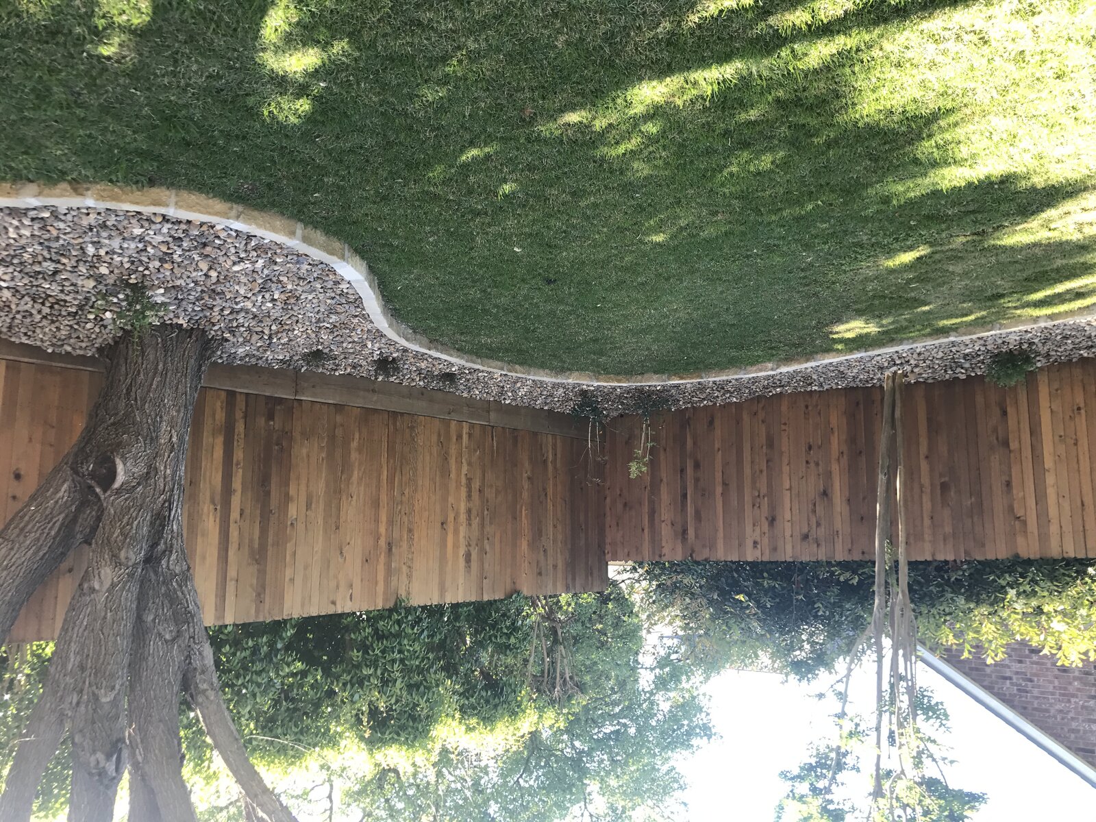 Native plantings and mulch