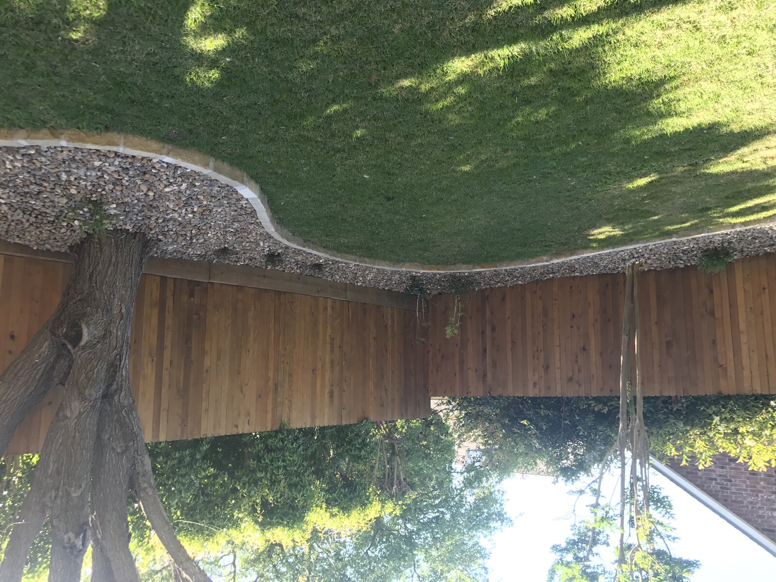Front yard landscape refresh