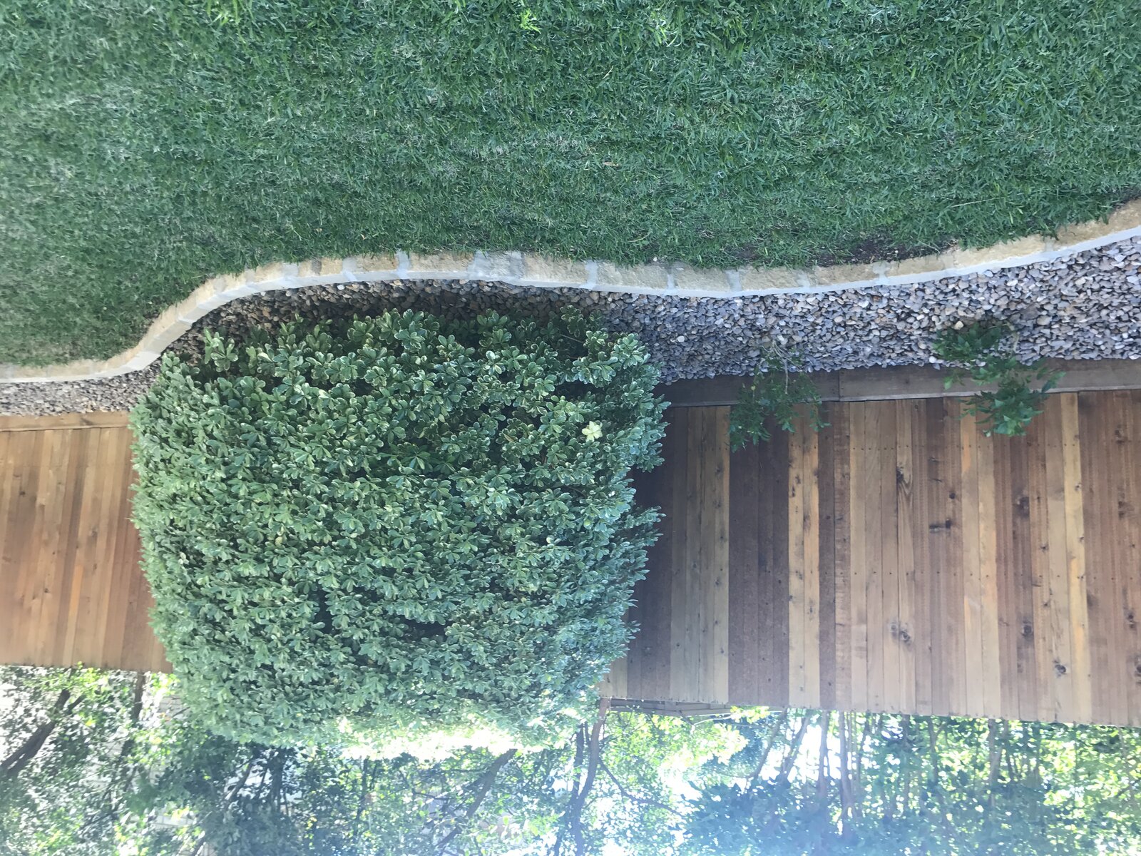 Backyard hardscape detail