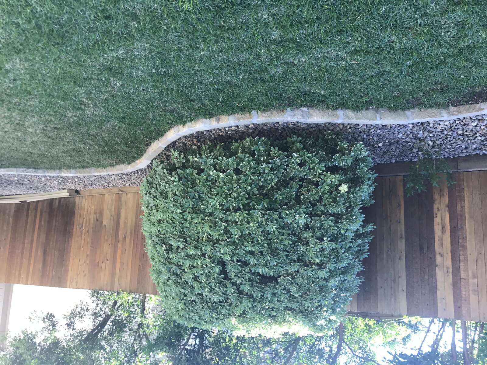 Drought-tolerant garden bed