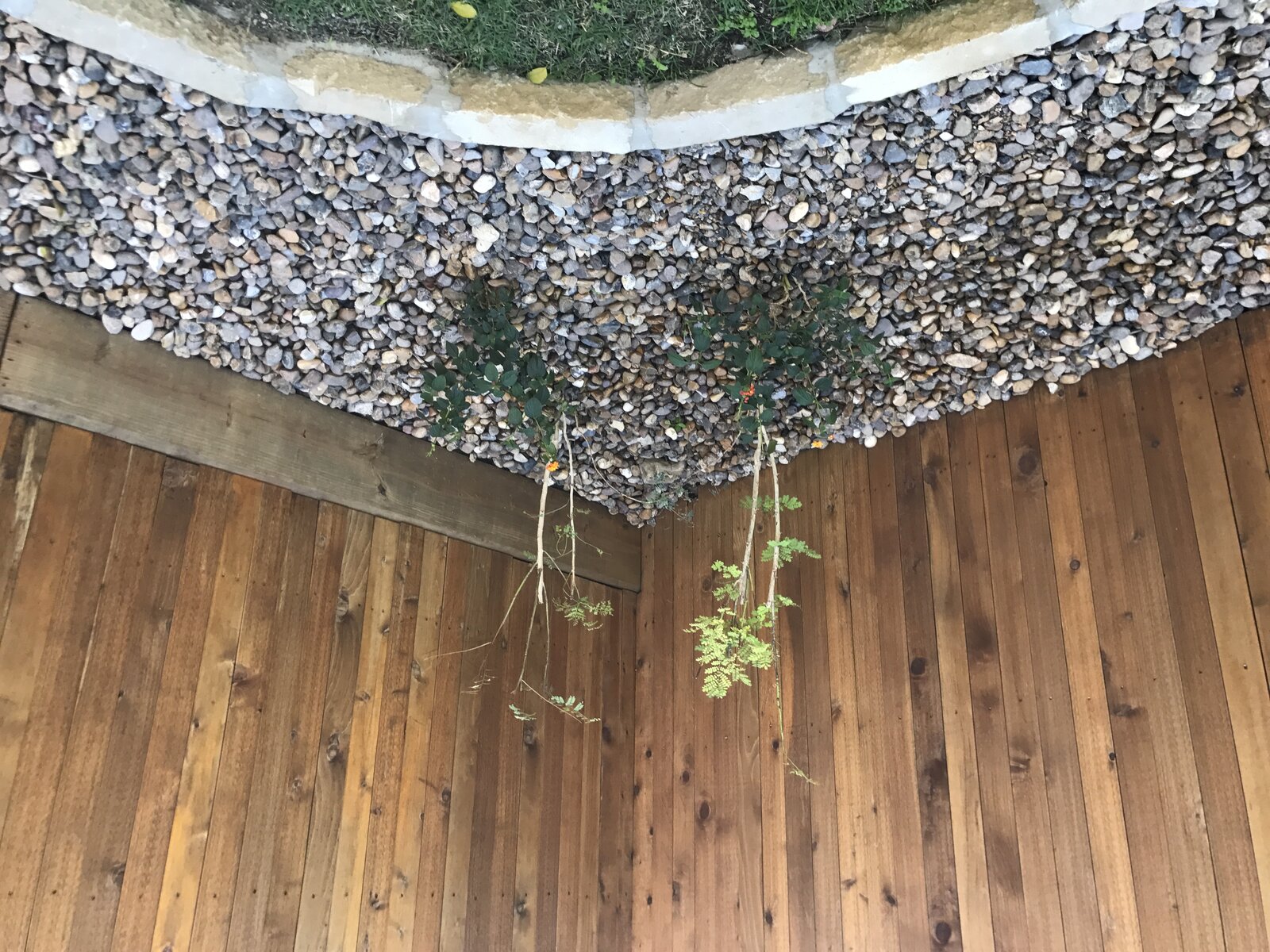 Xeriscape planting bed