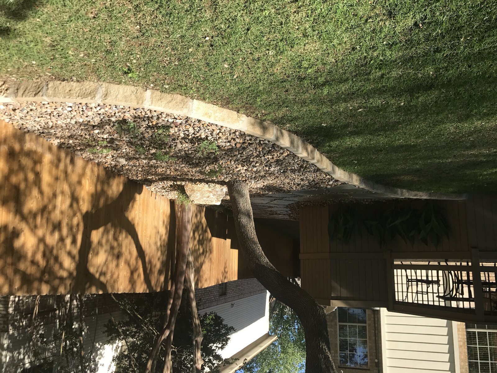 Hill Country landscape job