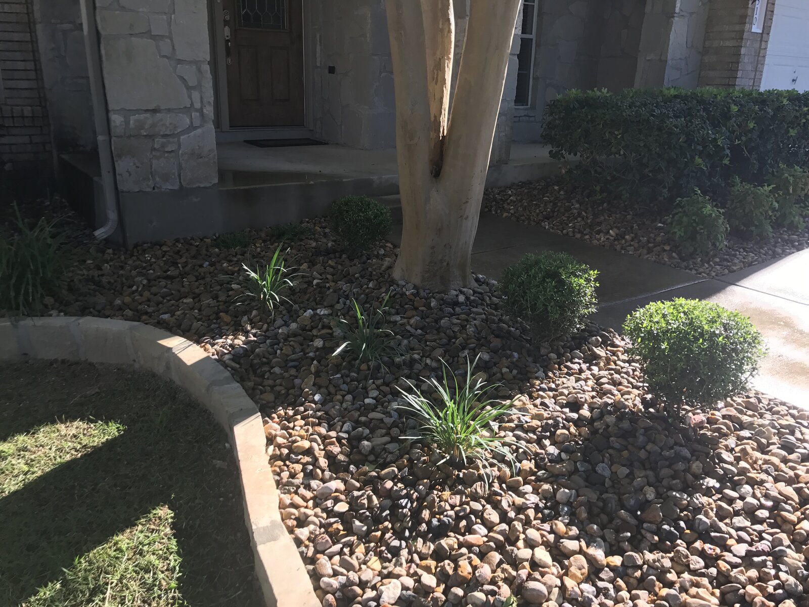Hill Country landscape job