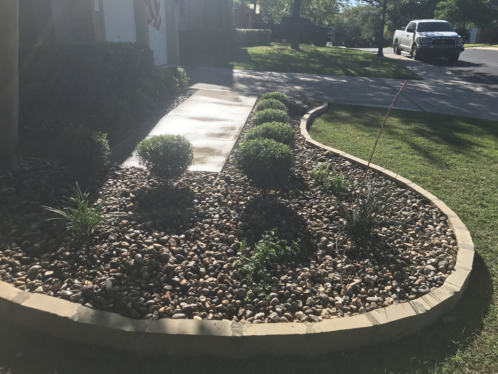 Native plantings and mulch