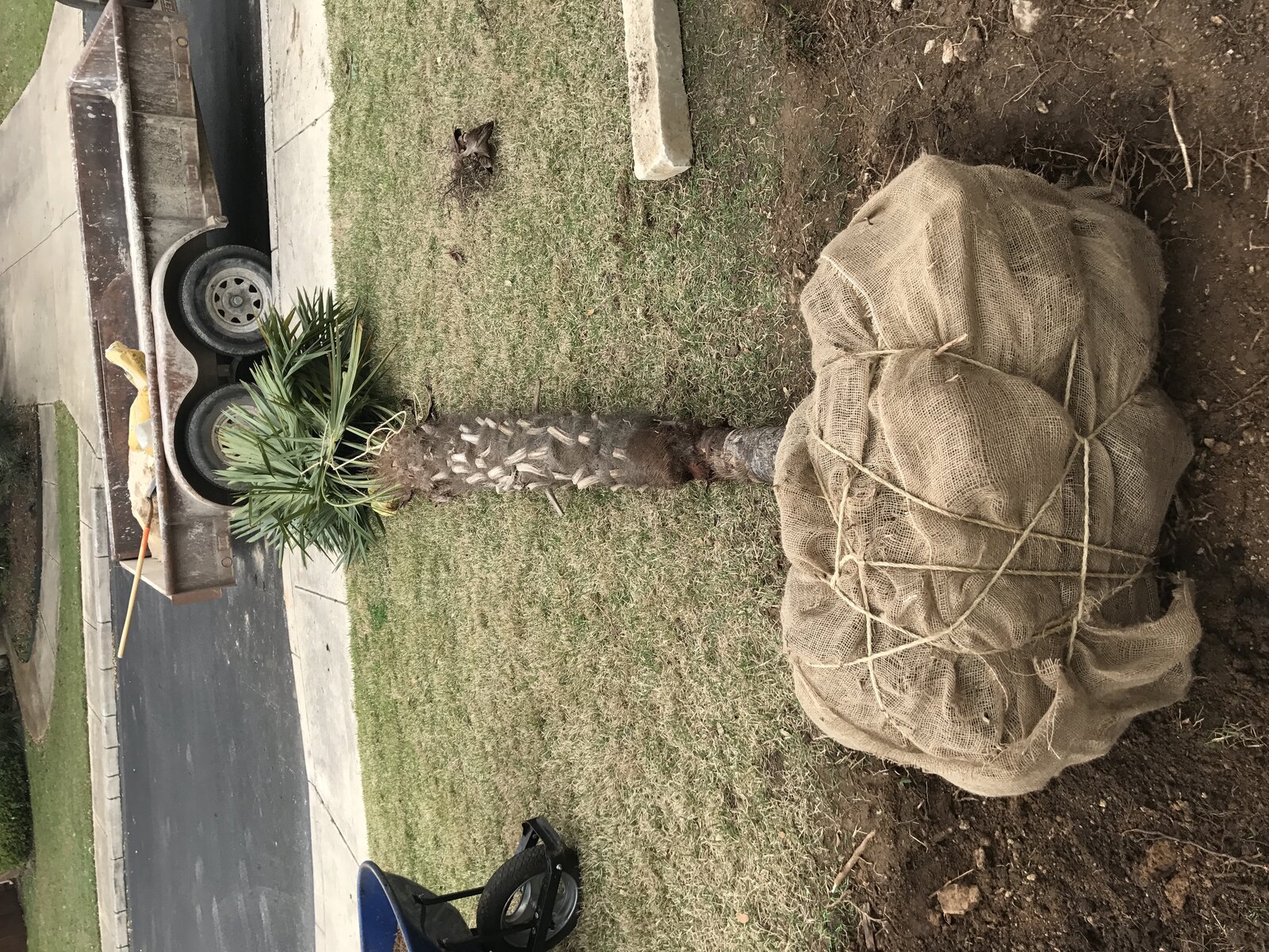 Xeriscape planting bed