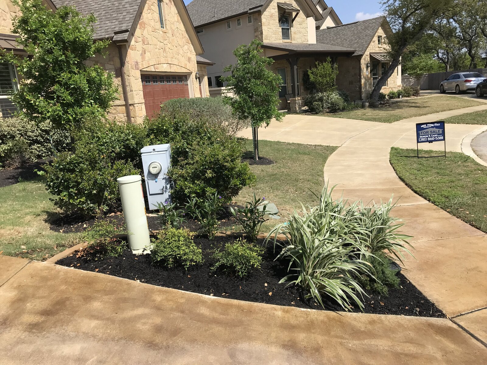 Hill Country landscape job