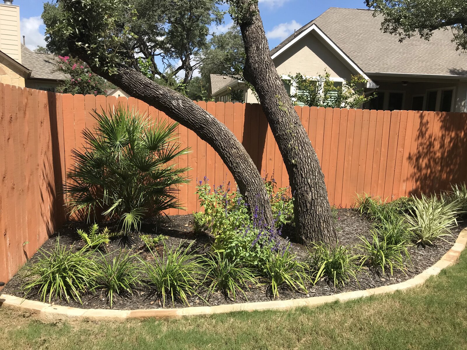 Front yard landscape refresh