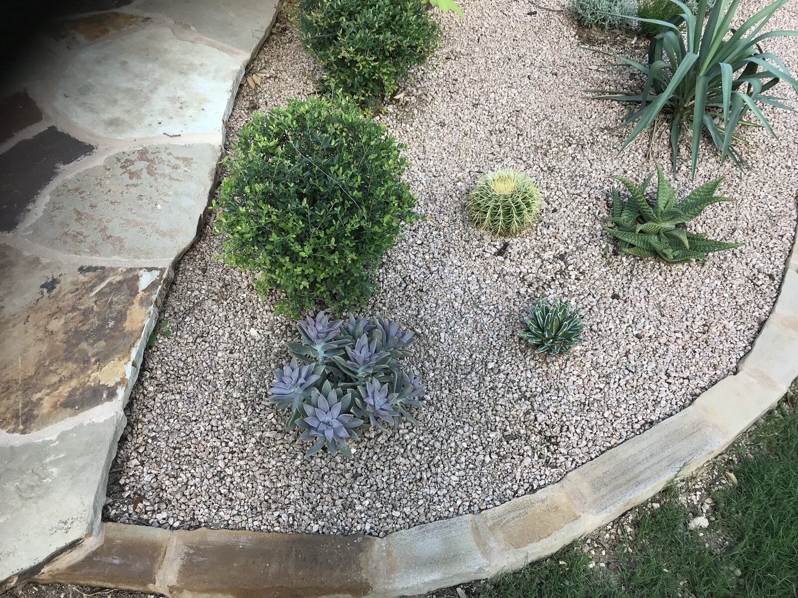 Backyard hardscape detail