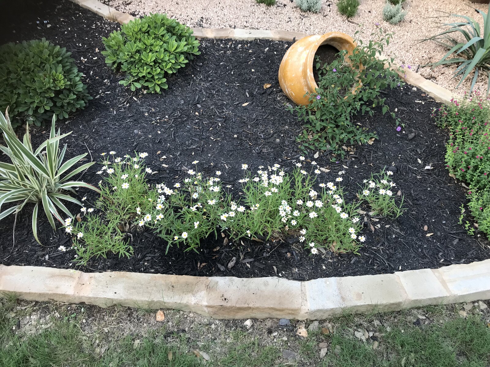 Drought-tolerant garden bed