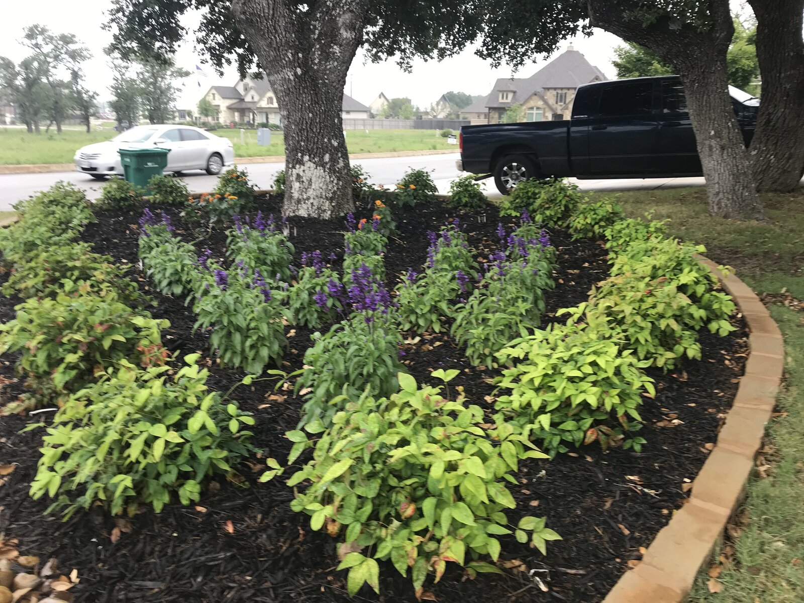 Hill Country landscape job