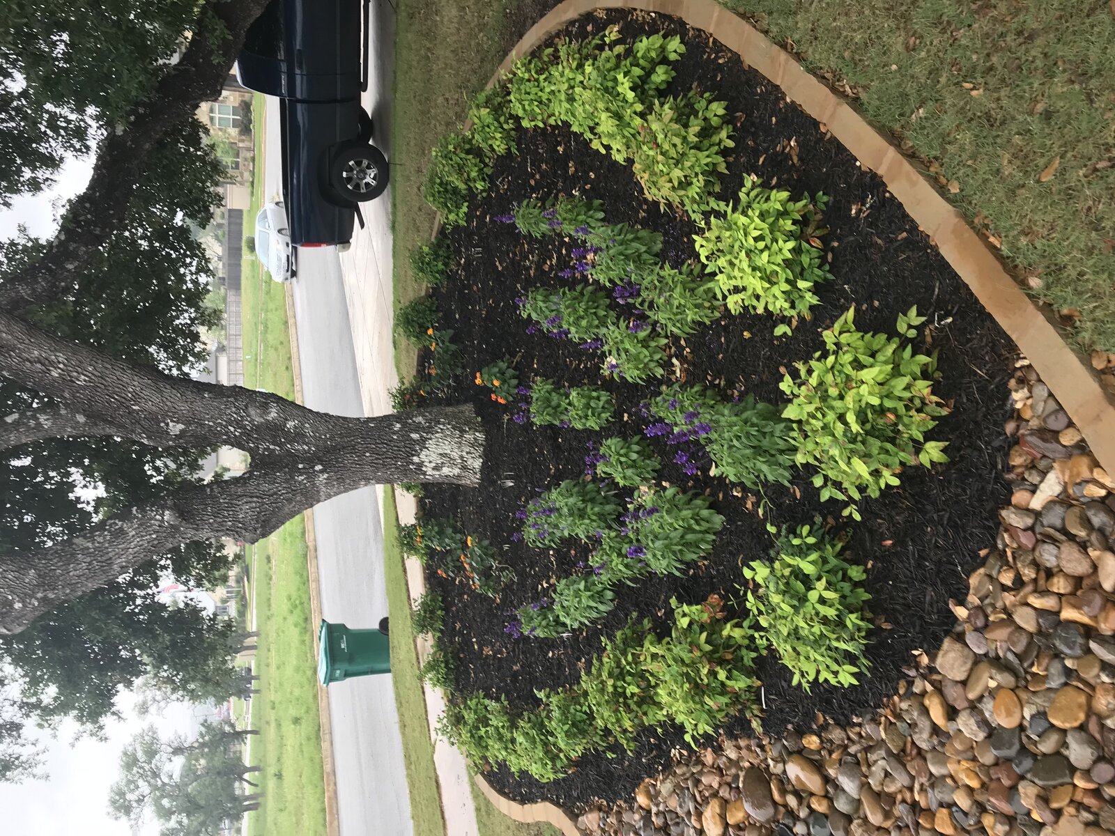 Completed outdoor living space