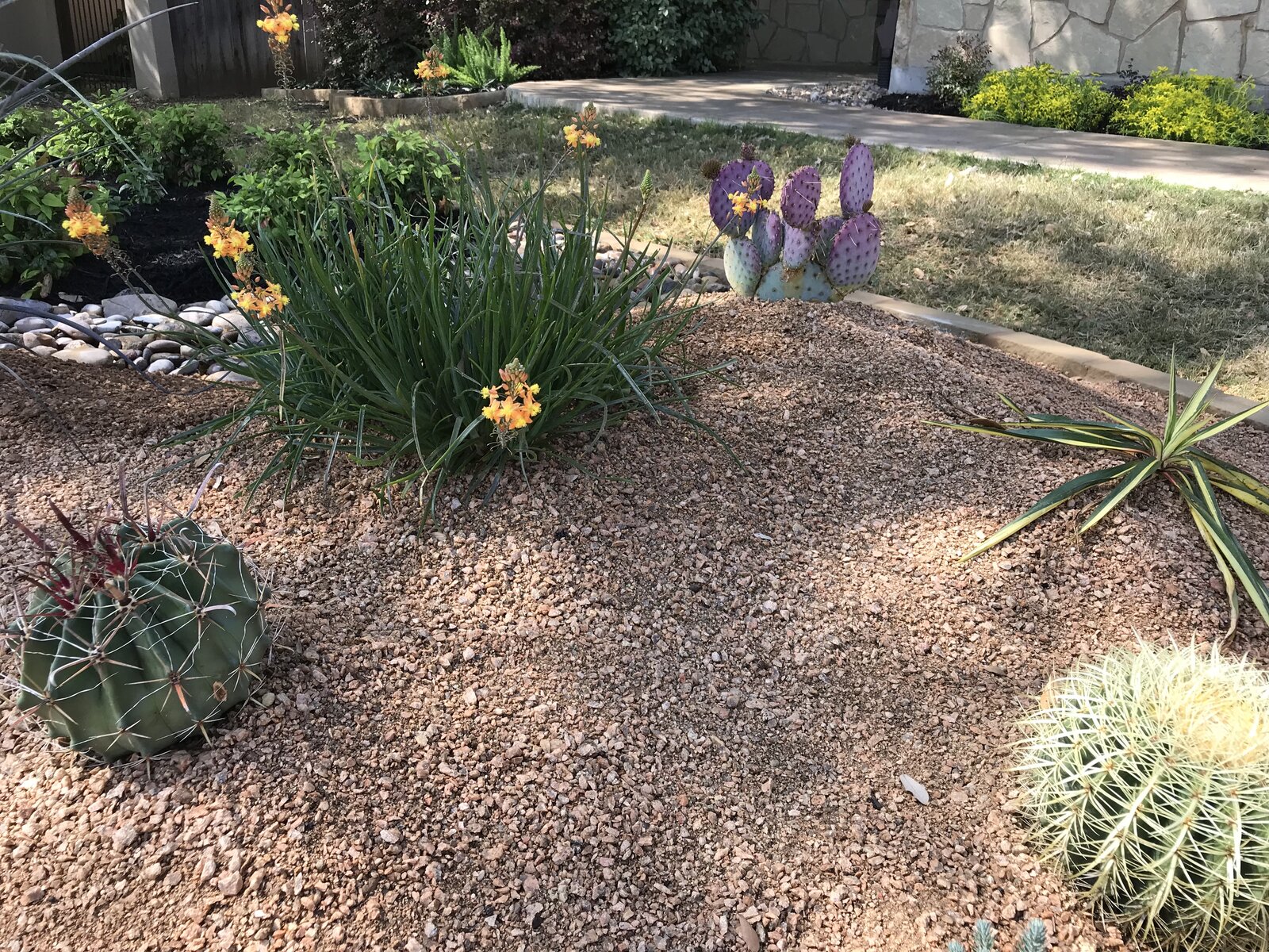 Hill Country landscape job