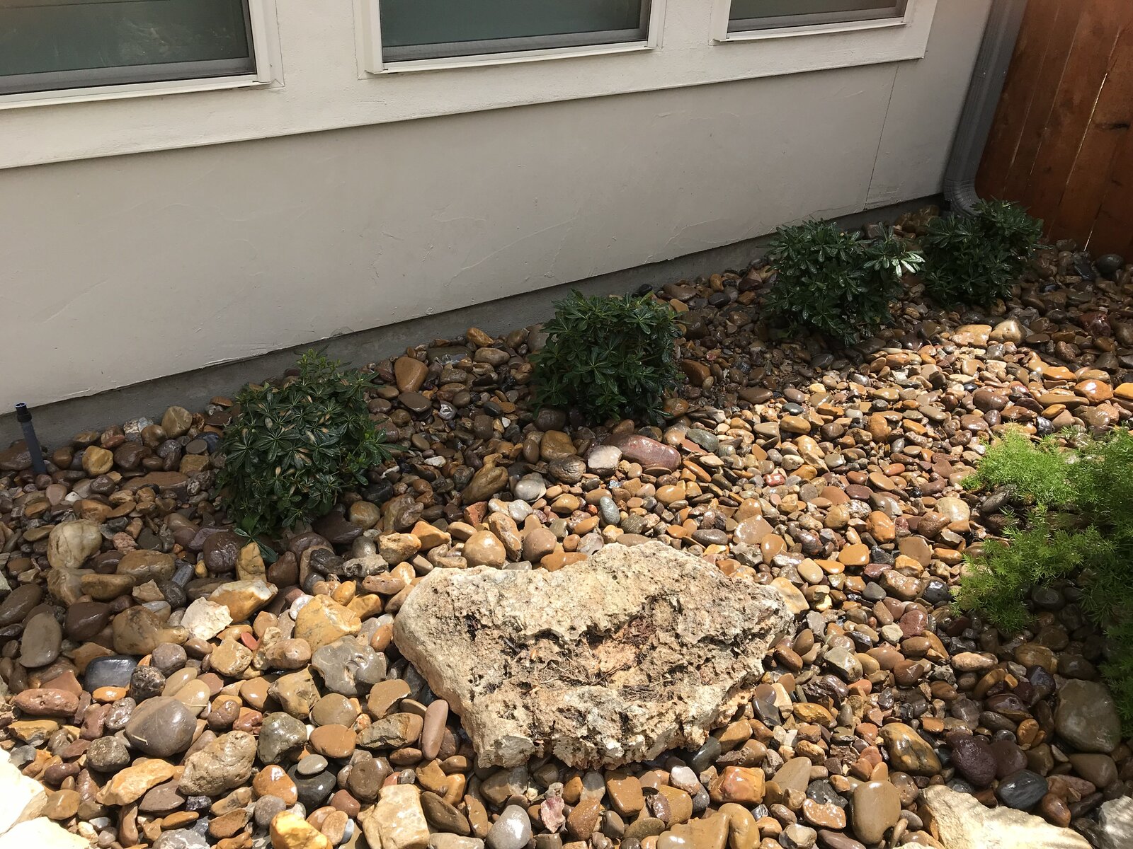 Native plantings and mulch