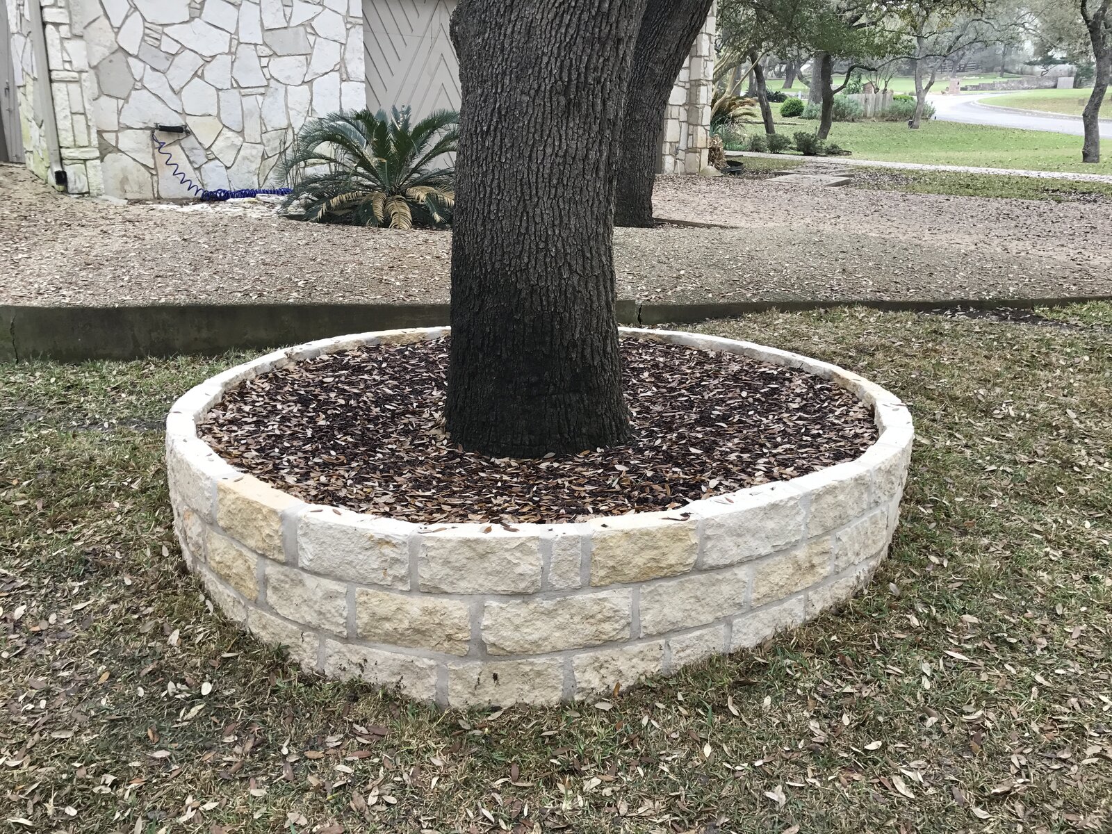 Xeriscape planting bed