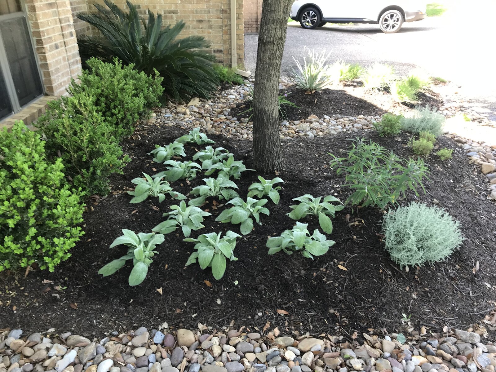 Patio and hardscape work