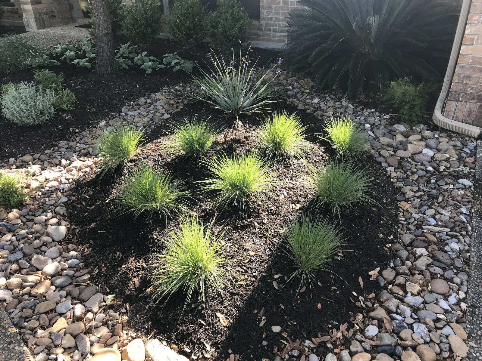 Xeriscape planting bed