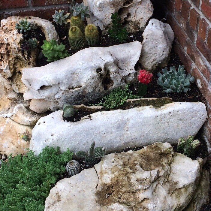 Xeriscape planting bed