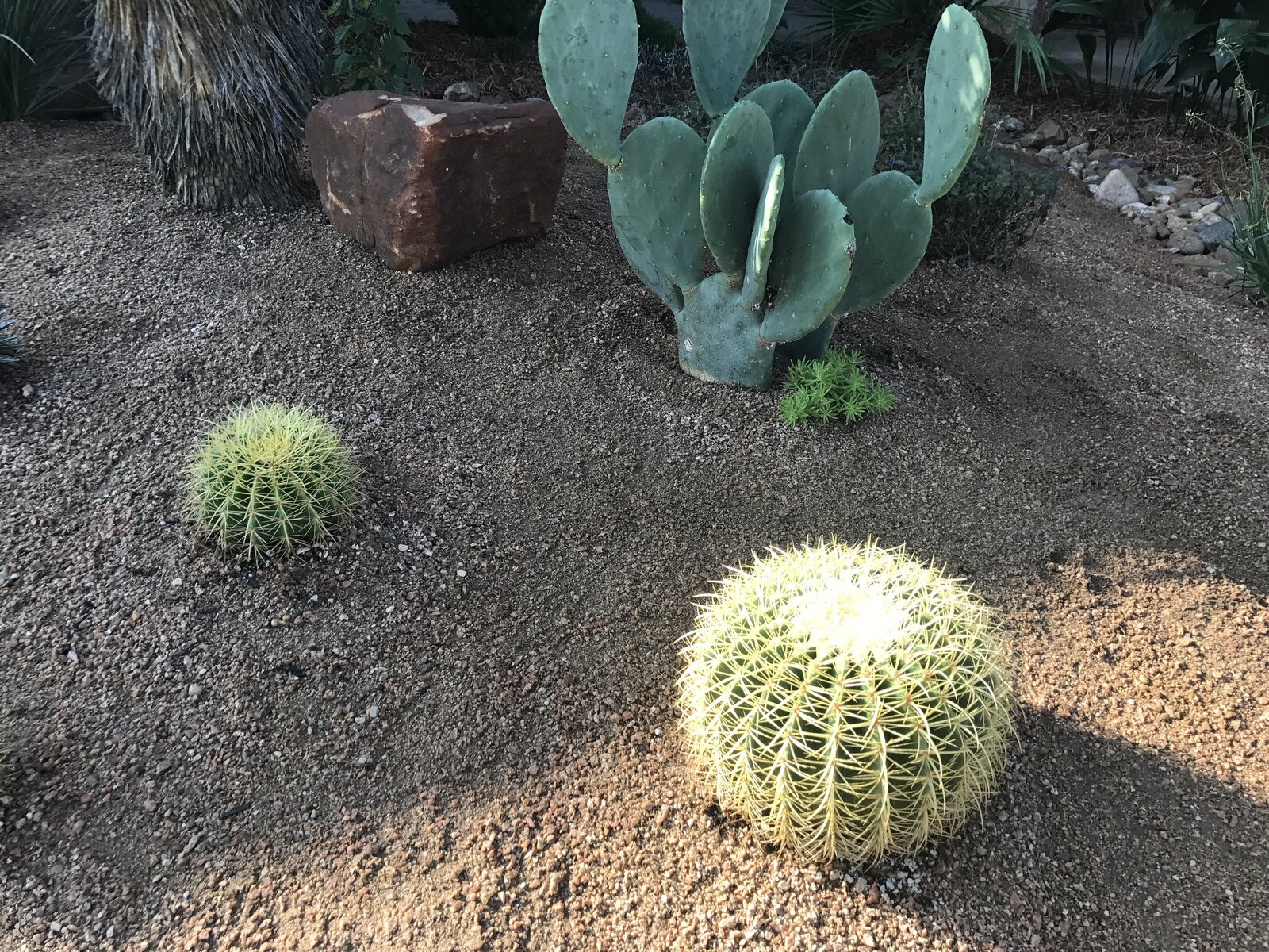Patio and hardscape work