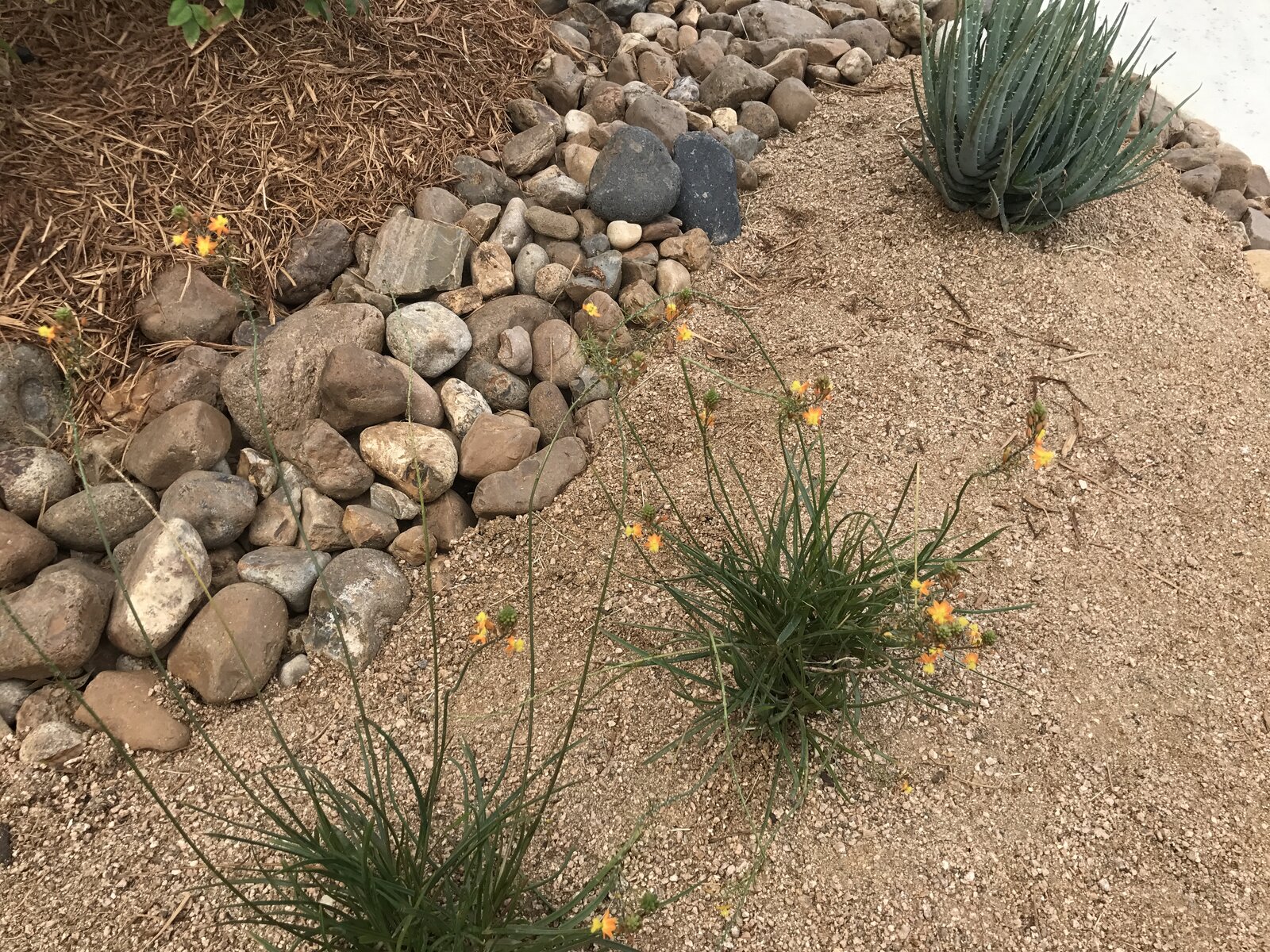 Stone and gravel yard