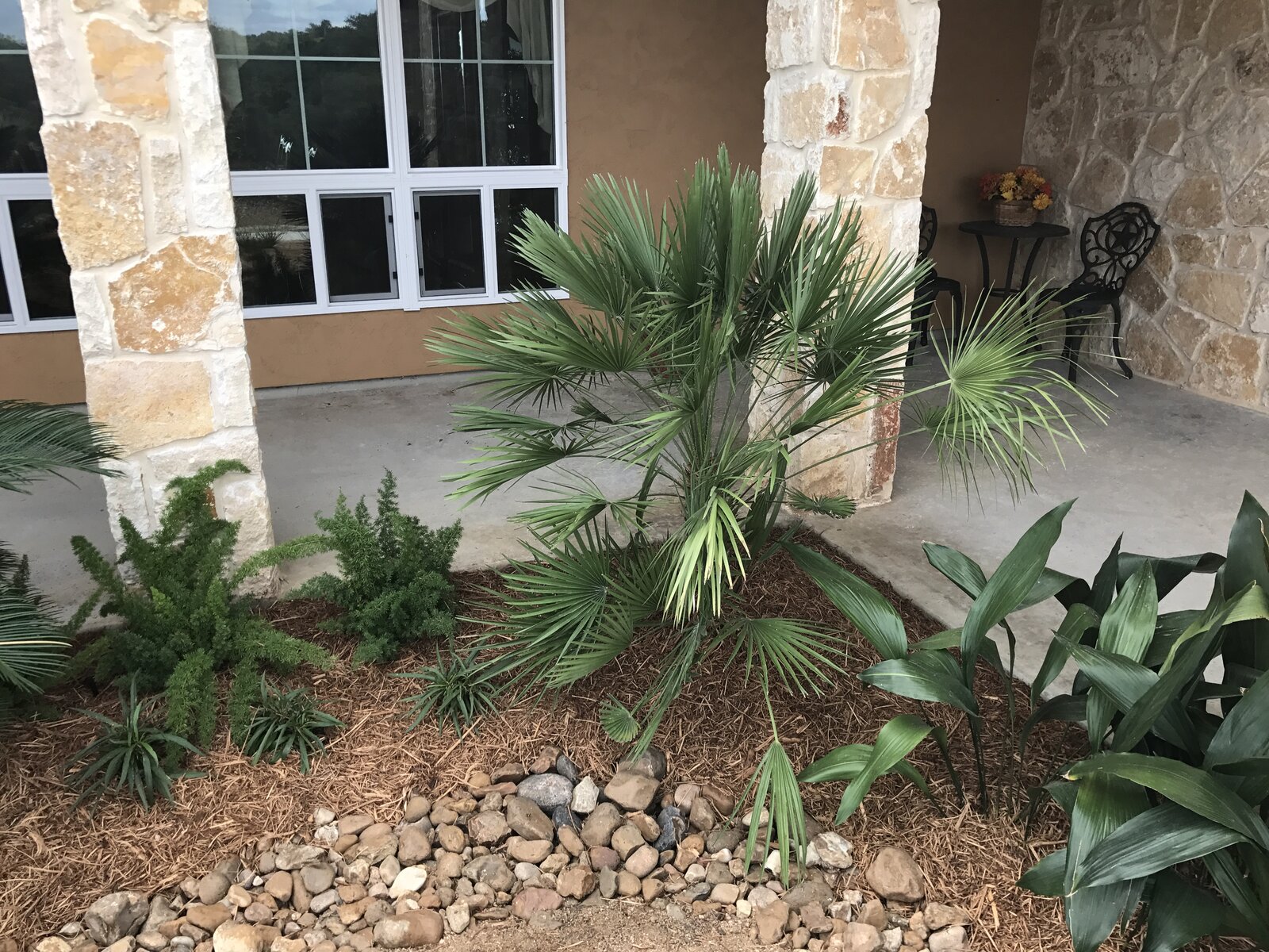 Native plantings and mulch