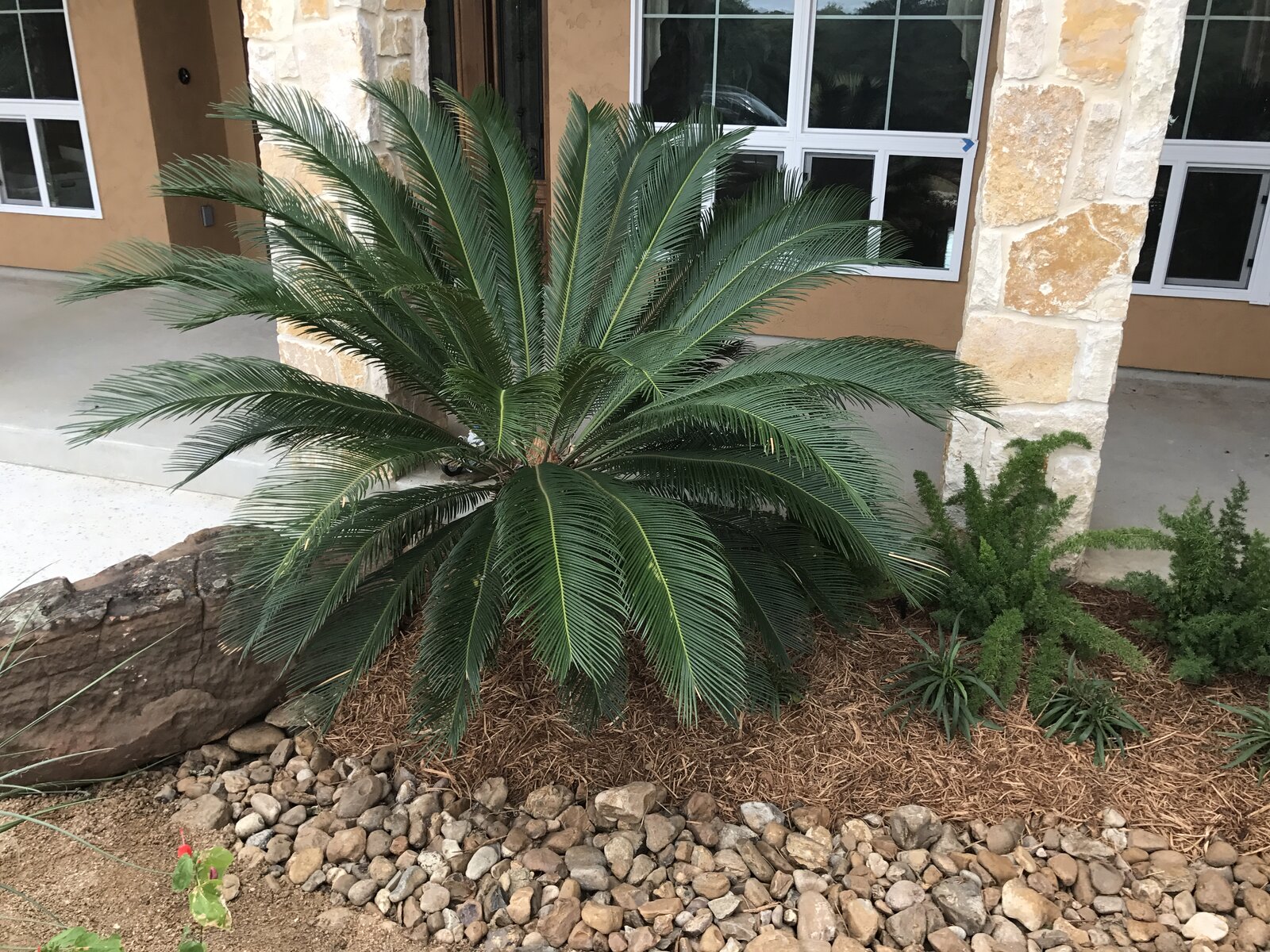 Front yard landscape refresh
