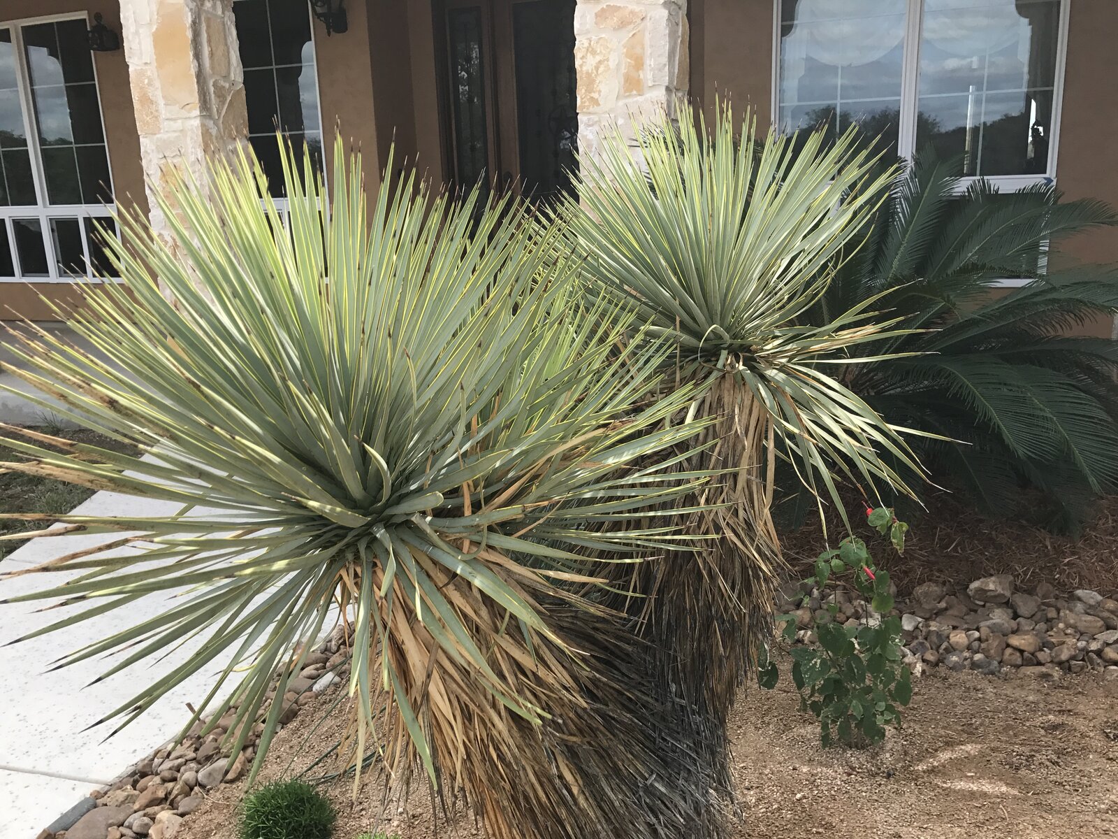 Finished landscape install