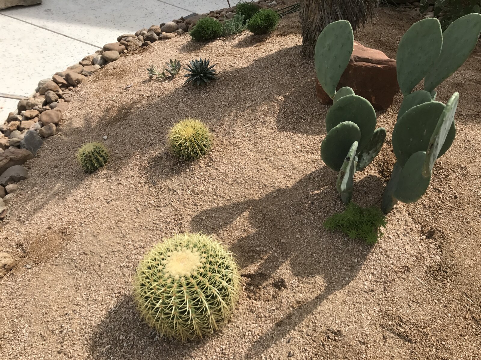 Xeriscape planting bed