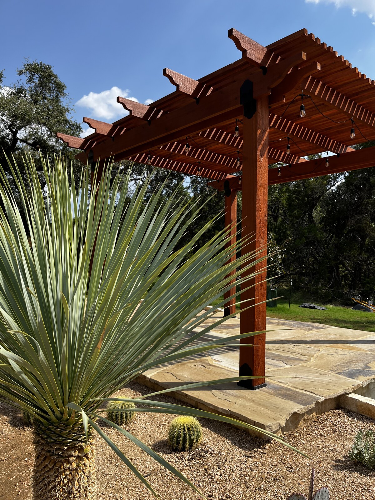 Custom wooden pergola with string lights over flagstone patio and xeriscape with yucca and barrel cacti — Texas Tough Landscapes
