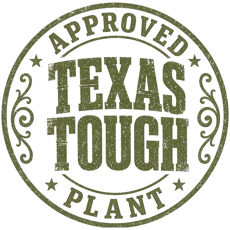Texas Tough approved plant
